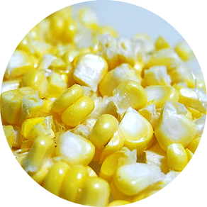 CountryCorn Machine Cut Kernels - Order Corn in a Cup, corn cup out of the kernels of truth